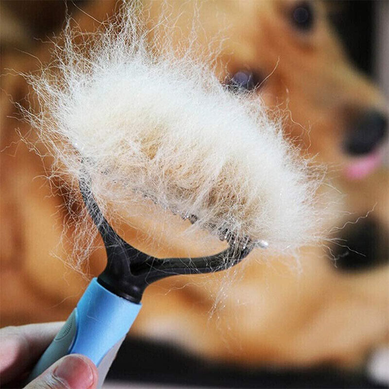 Escova Removedora de Pelos Para Cães e Gatos
