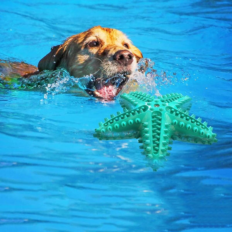 Brinquedo Interativo para Cães Grandes – Estrela-do-mar com Som, Limpeza dos Dentes