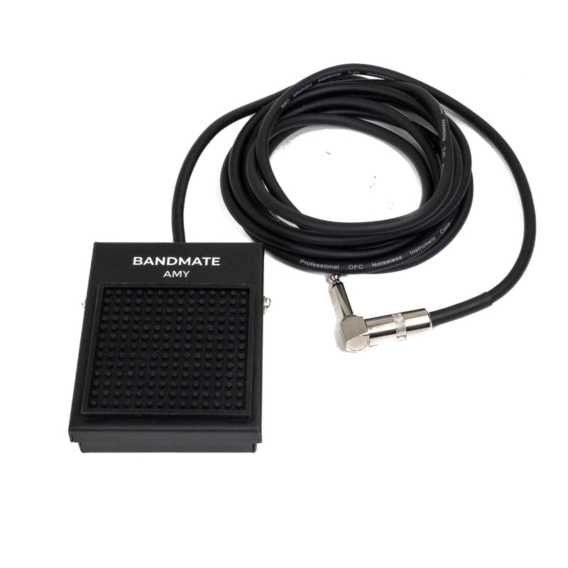 BandMate DP50 Sustain Pedal-2