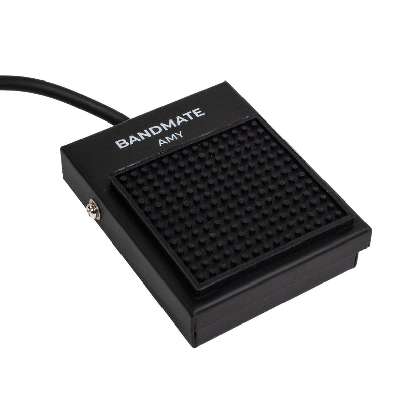 BandMate DP50 Sustain Pedal-0