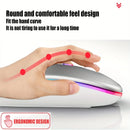 Mouse sem fio Bluetooth e 2,4 GHz modos duplos recarregável RGB ergonômico silencioso clique para PC iPad laptop celular TV
