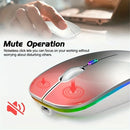 Mouse sem fio Bluetooth e 2,4 GHz modos duplos recarregável RGB ergonômico silencioso clique para PC iPad laptop celular TV