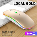 Mouse sem fio Bluetooth e 2,4 GHz modos duplos recarregável RGB ergonômico silencioso clique para PC iPad laptop celular TV