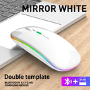 Mouse sem fio Bluetooth e 2,4 GHz modos duplos recarregável RGB ergonômico silencioso clique para PC iPad laptop celular TV