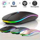 Mouse sem fio Bluetooth e 2,4 GHz modos duplos recarregável RGB ergonômico silencioso clique para PC iPad laptop celular TV