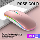 Mouse sem fio Bluetooth e 2,4 GHz modos duplos recarregável RGB ergonômico silencioso clique para PC iPad laptop celular TV