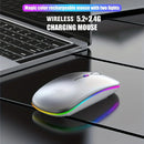 Mouse sem fio Bluetooth e 2,4 GHz modos duplos recarregável RGB ergonômico silencioso clique para PC iPad laptop celular TV