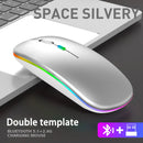 Mouse sem fio Bluetooth e 2,4 GHz modos duplos recarregável RGB ergonômico silencioso clique para PC iPad laptop celular TV