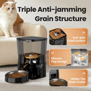 Smart Control Automatic Pet Feeder for Cats and Dogs-2