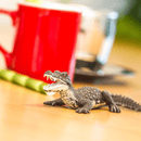 Figura de borracha - Caimão-1