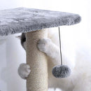 Cat creeper-grey-4