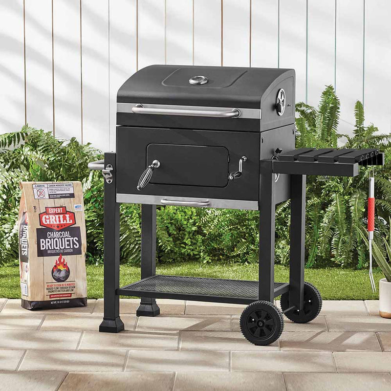 Multifunctional grill-1